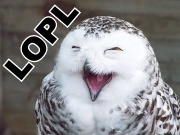 :OWL: